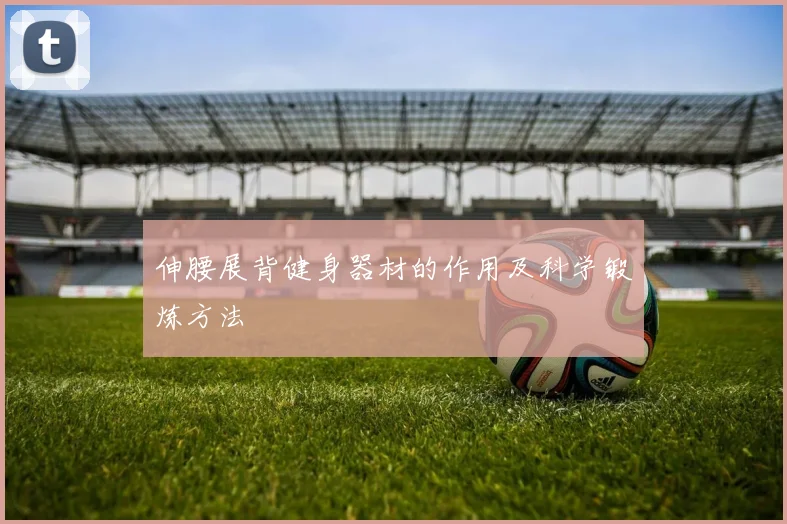 伸腰展背健身器材的作用及科学锻炼方法