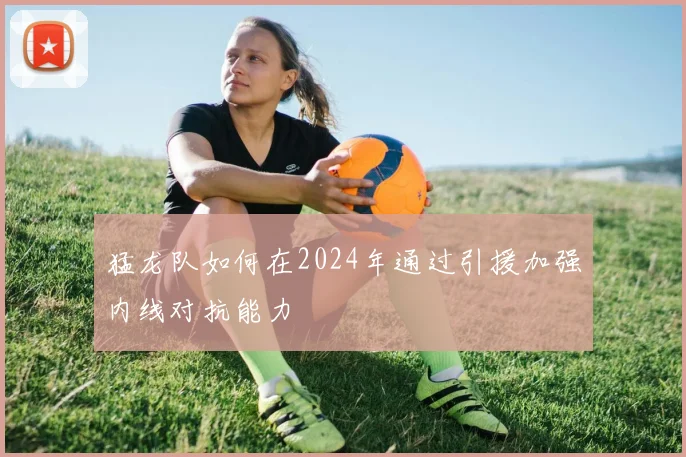 猛龙队如何在2024年通过引援加强内线对抗能力