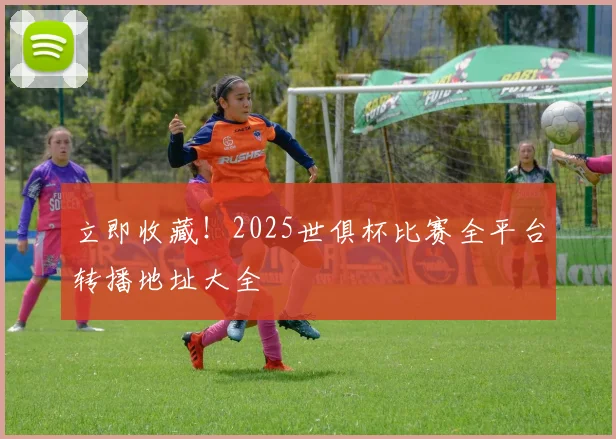 立即收藏！2025世俱杯比赛全平台转播地址大全