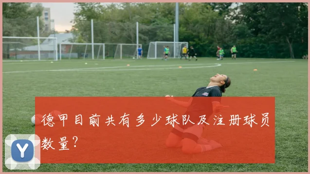 德甲目前共有多少球队及注册球员数量？