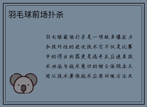 羽毛球前场扑杀